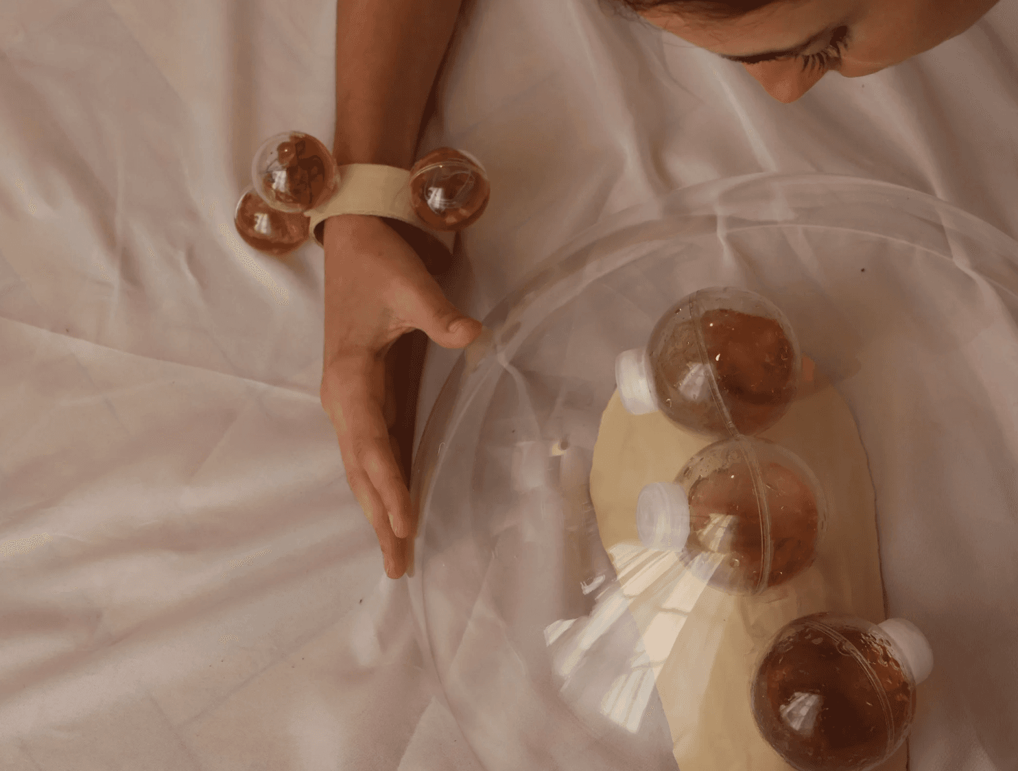 Los Reformuladores - Image 4